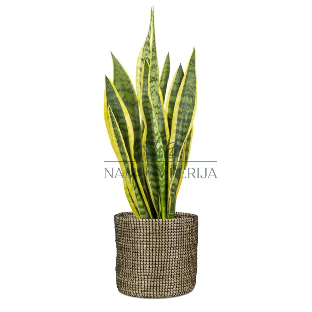 Vazonas iš jūržolės DI10201 - €23 Save 50% __label:Pristatymas 1-2 d.d., color-juoda, color-smelio, interjeras,