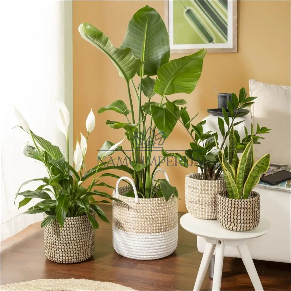 Vazonas iš jūržolės DI10201 - €23 Save 50% __label:Pristatymas 1-2 d.d., color-juoda, color-smelio, interjeras,