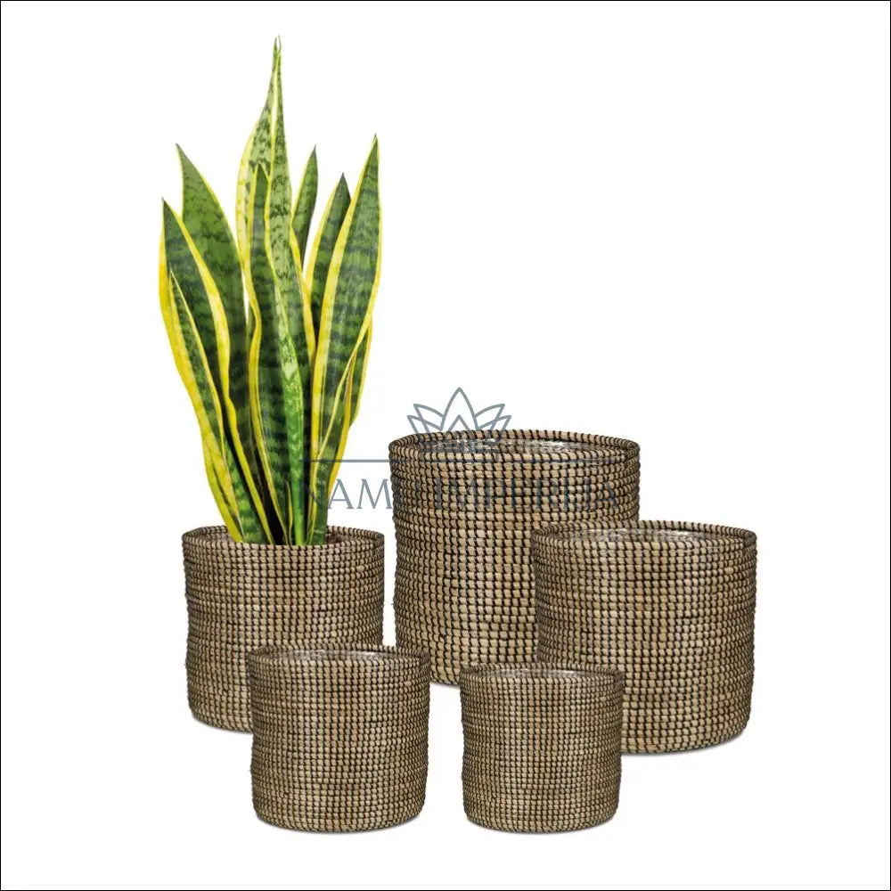 Vazonas iš jūržolės DI10201 - €23 Save 50% __label:Pristatymas 1-2 d.d., color-juoda, color-smelio, interjeras,