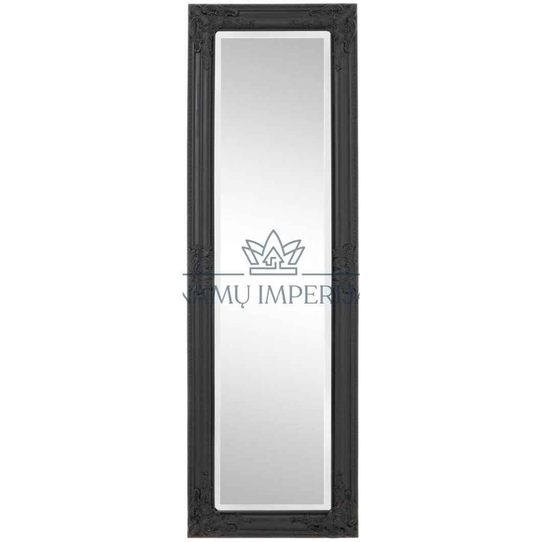 Sieninis veidrodis DI3076 - 50-100, color-juoda, interjeras,
